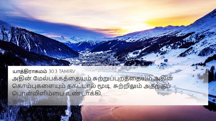 யாத்திராகமம் 30:3 TAMIRV Bible Verse Image
