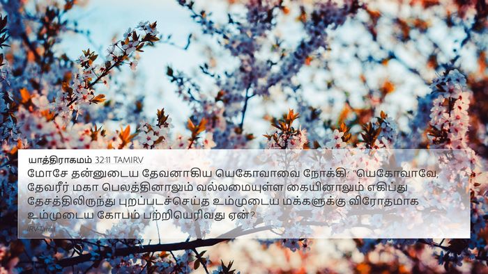 யாத்திராகமம் 32:11 TAMIRV Bible Verse Image