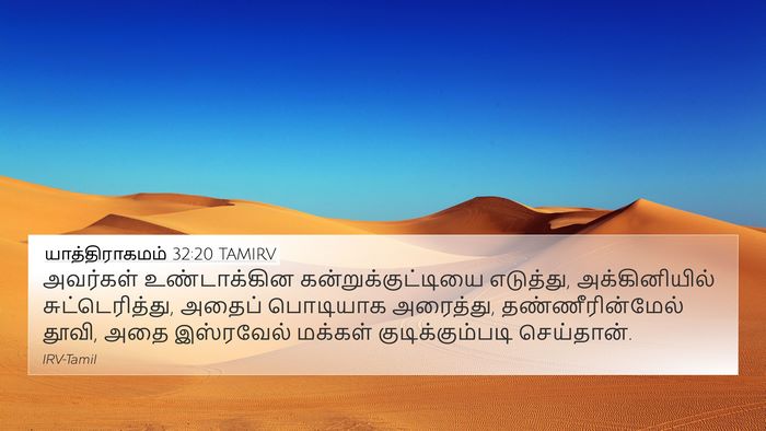 யாத்திராகமம் 32:20 TAMIRV Bible Verse Image