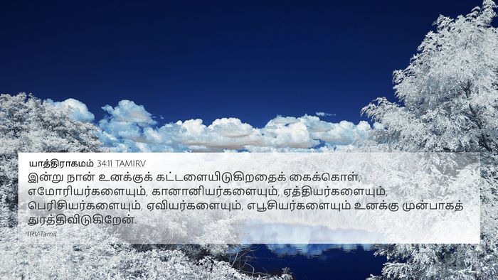 யாத்திராகமம் 34:11 TAMIRV Bible Verse Image