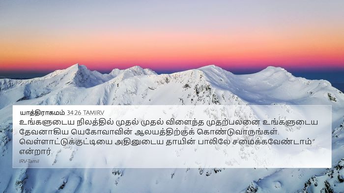 யாத்திராகமம் 34:26 TAMIRV Bible Verse Image