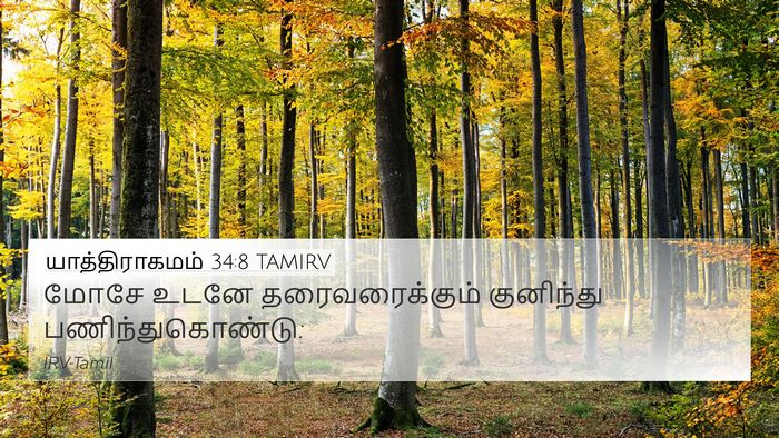 யாத்திராகமம் 34:8 TAMIRV Bible Verse Image
