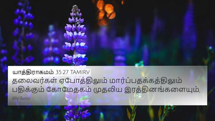 யாத்திராகமம் 35:27 TAMIRV Bible Verse Image