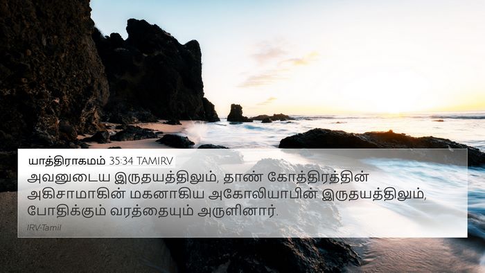 யாத்திராகமம் 35:34 TAMIRV Bible Verse Image