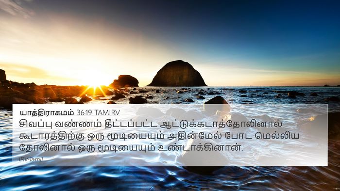 யாத்திராகமம் 36:19 TAMIRV Bible Verse Image