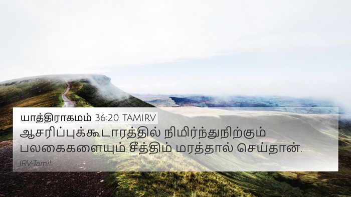 யாத்திராகமம் 36:20 TAMIRV Bible Verse Image