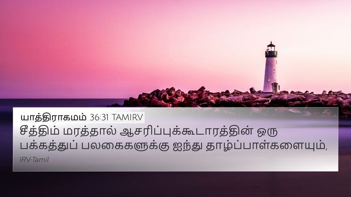 யாத்திராகமம் 36:31 TAMIRV Bible Verse Image