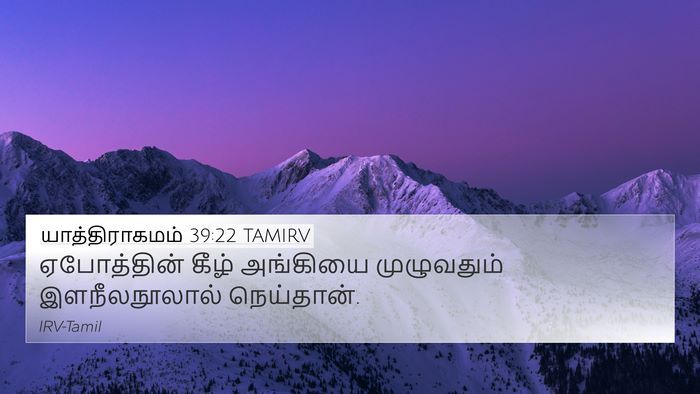 யாத்திராகமம் 39:22 TAMIRV Bible Verse Image