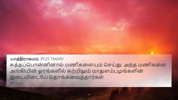 யாத்திராகமம் 39:25 TAMIRV 4K Wallpaper -  - 4K Wallpaper Bible Verse