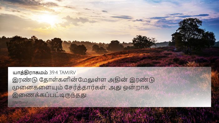 யாத்திராகமம் 39:4 TAMIRV 4K Wallpaper - இரண்டு - 4K Wallpaper Bible Verse