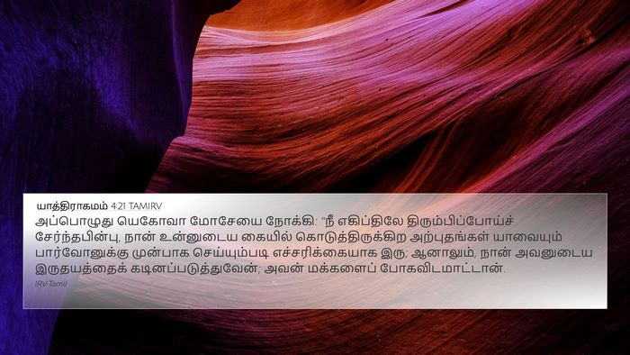 யாத்திராகமம் 4:21 TAMIRV Bible Verse Image