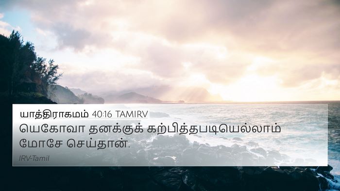 யாத்திராகமம் 40:16 TAMIRV Bible Verse Image
