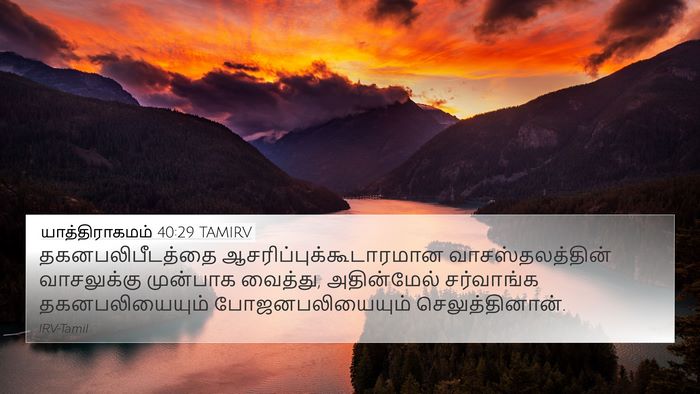 யாத்திராகமம் 40:29 TAMIRV Bible Verse Image
