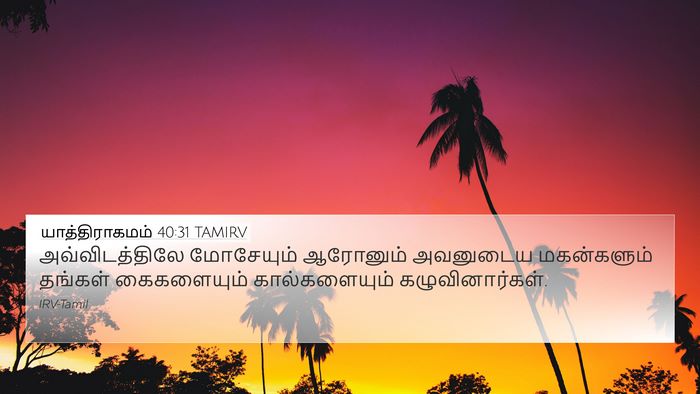 யாத்திராகமம் 40:31 TAMIRV Bible Verse Image