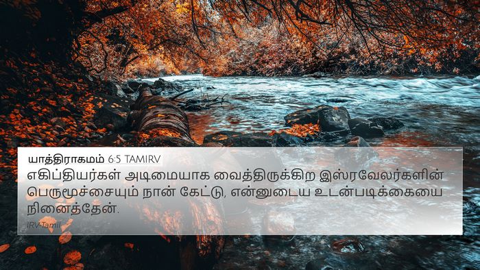 யாத்திராகமம் 6:5 TAMIRV 4K Wallpaper - எகிப்தியர்கள் - 4K Wallpaper Bible Verse