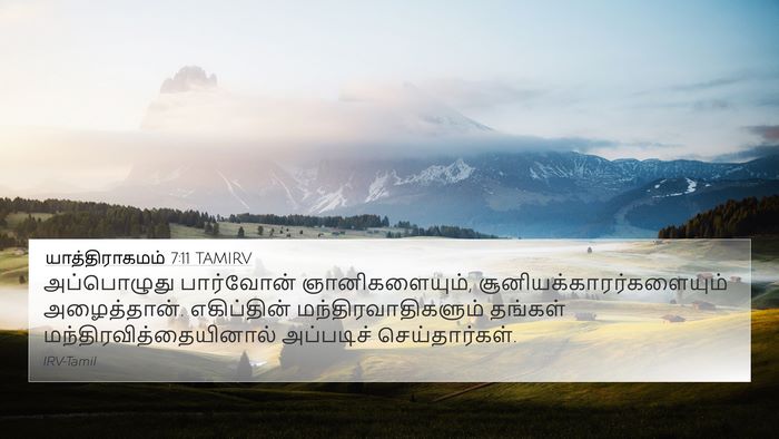 யாத்திராகமம் 7:11 TAMIRV Bible Verse Image