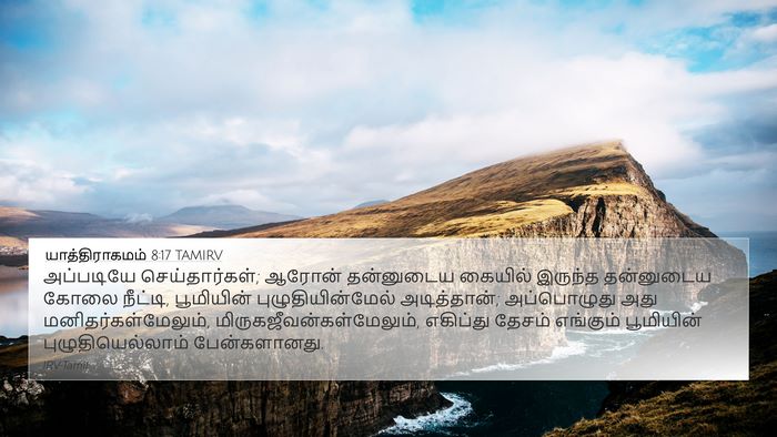 யாத்திராகமம் 8:17 TAMIRV Bible Verse Image