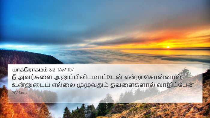 யாத்திராகமம் 8:2 TAMIRV 4K Wallpaper - நீ அவர்களை - 4K Wallpaper Bible Verse