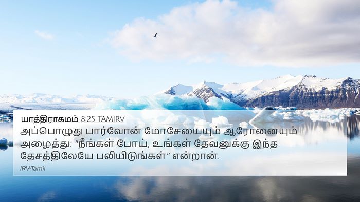 யாத்திராகமம் 8:25 TAMIRV 4K Wallpaper - அப்பொழுது - 4K Wallpaper Bible Verse