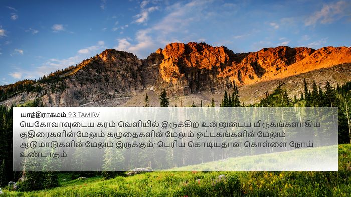 யாத்திராகமம் 9:3 TAMIRV Bible Verse Image