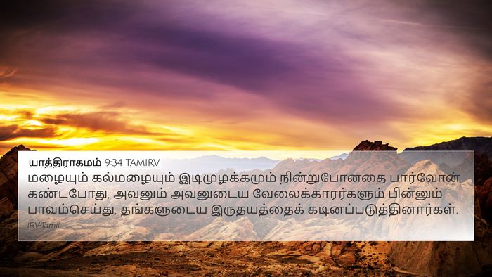 யாத்திராகமம் 9:34 TAMIRV Bible Verse Image