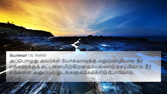 யோசுவா 1:16 TAMIRV Bible Verse Image