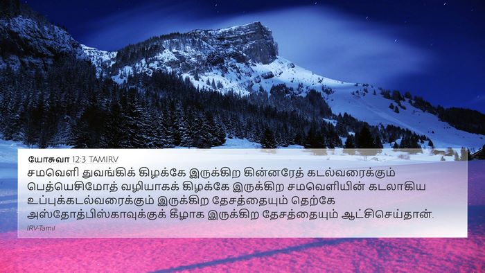 யோசுவா 12:3 TAMIRV Bible Verse Image
