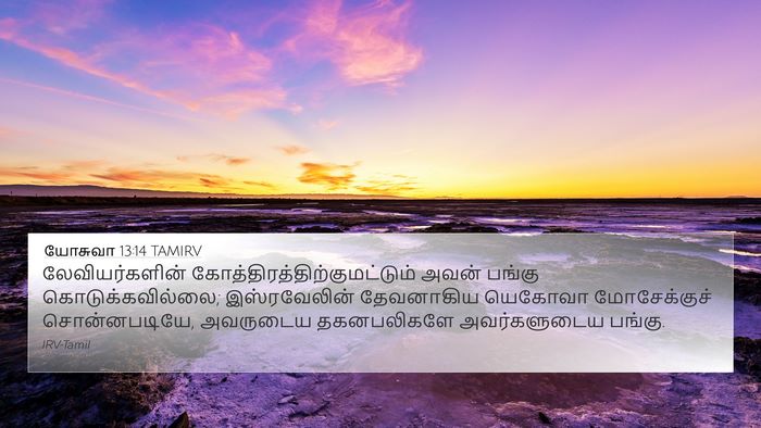 யோசுவா 13:14 TAMIRV Bible Verse Image