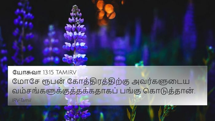 யோசுவா 13:15 TAMIRV Bible Verse Image