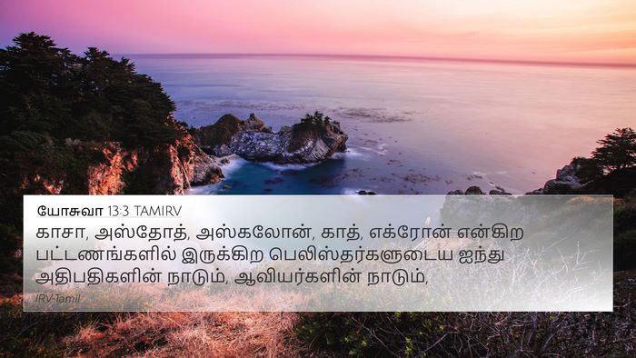 யோசுவா 13:3 TAMIRV Bible Verse Image