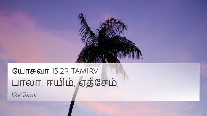 யோசுவா 15:29 TAMIRV 4K Wallpaper - பாலா, ஈயிம், - 4K Wallpaper Bible Verse