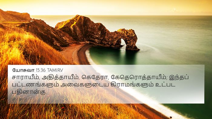 யோசுவா 15:36 TAMIRV Bible Verse Image