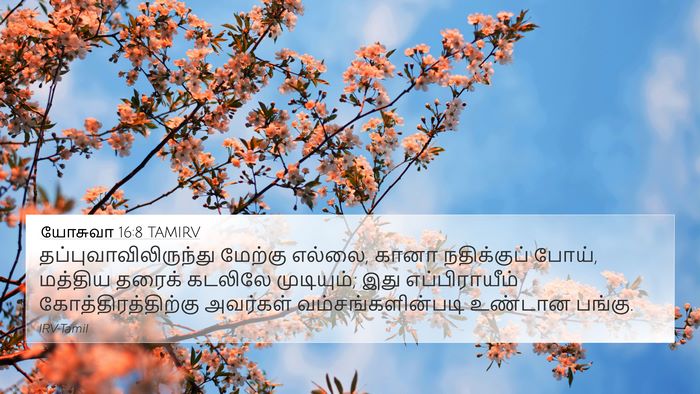 யோசுவா 16:8 TAMIRV Bible Verse Image
