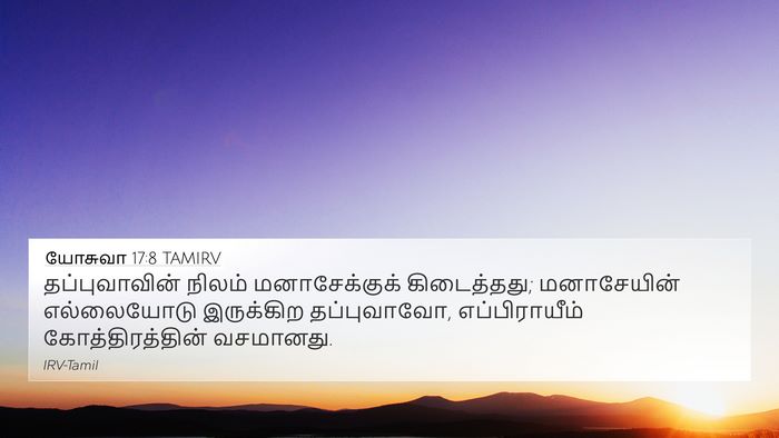 யோசுவா 17:8 TAMIRV 4K Wallpaper - தப்புவாவின் நிலம் - 4K Wallpaper Bible Verse