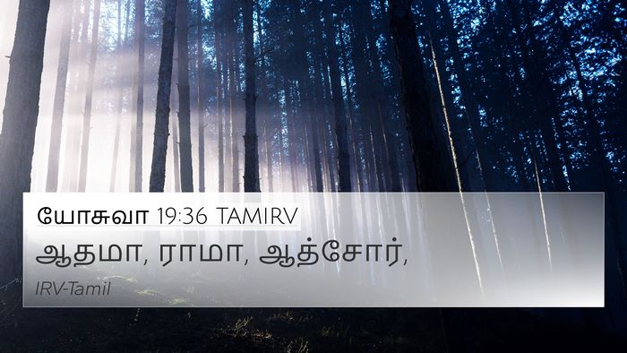 யோசுவா 19:36 TAMIRV 4K Wallpaper - ஆதமா, ராமா, - 4K Wallpaper Bible Verse