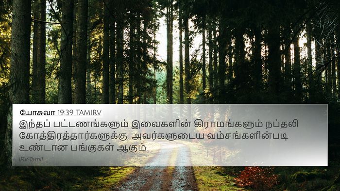 யோசுவா 19:39 TAMIRV 4K Wallpaper - இந்தப் - 4K Wallpaper Bible Verse