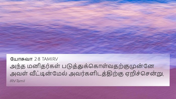 யோசுவா 2:8 TAMIRV Bible Verse Image