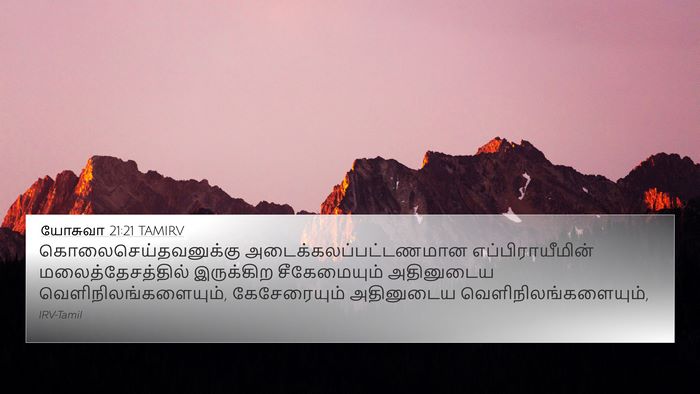 யோசுவா 21:21 TAMIRV 4K Wallpaper - கொலைசெய்தவனுக்கு - 4K Wallpaper Bible Verse