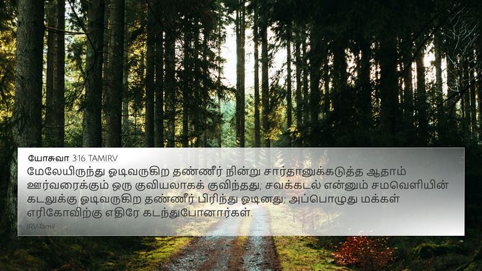 யோசுவா 3:16 TAMIRV Bible Verse Image