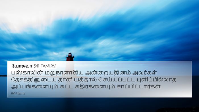 யோசுவா 5:11 TAMIRV Bible Verse Image