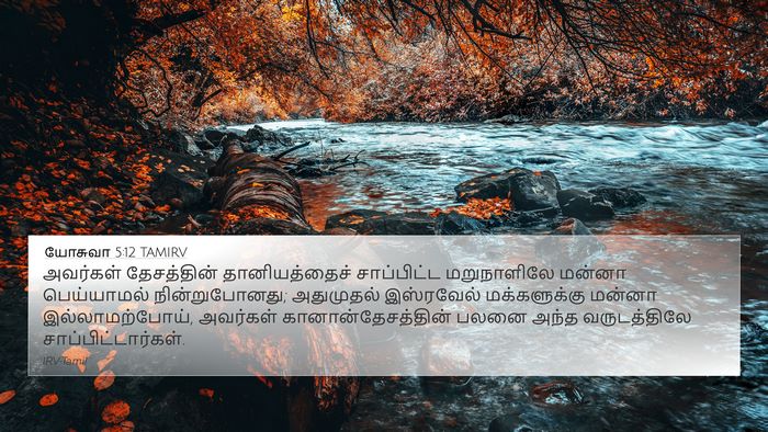 யோசுவா 5:12 TAMIRV Bible Verse Image