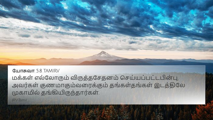 யோசுவா 5:8 TAMIRV 4K Wallpaper - மக்கள் எல்லோரும் - 4K Wallpaper Bible Verse