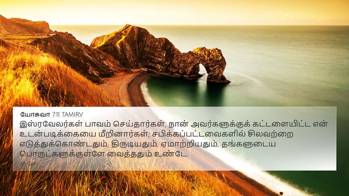 யோசுவா 7:11 TAMIRV Bible Verse Image