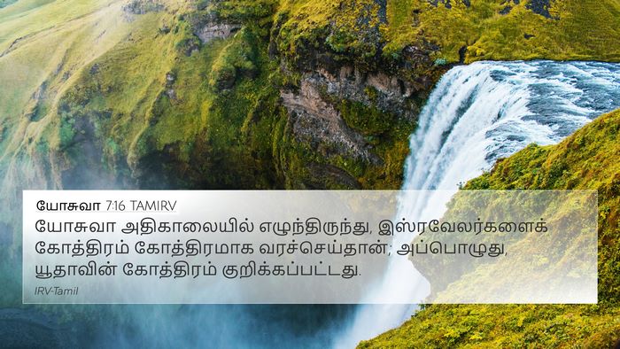 யோசுவா 7:16 TAMIRV Bible Verse Image