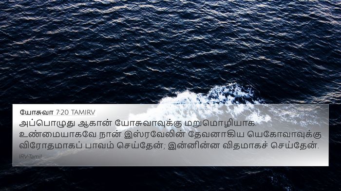 யோசுவா 7:20 TAMIRV Bible Verse Image