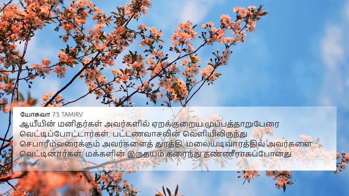 யோசுவா 7:5 TAMIRV Bible Verse Image