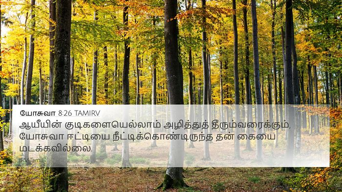 யோசுவா 8:26 TAMIRV 4K Wallpaper - ஆயீயின் - 4K Wallpaper Bible Verse