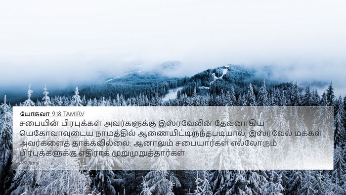 யோசுவா 9:18 TAMIRV 4K Wallpaper - சபையின் - 4K Wallpaper Bible Verse