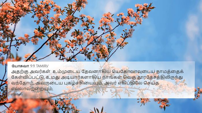 யோசுவா 9:9 TAMIRV Bible Verse Image