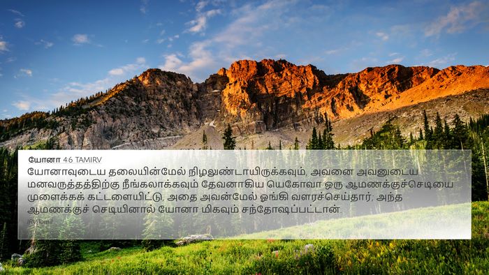 யோனா 4:6 TAMIRV Bible Verse Image